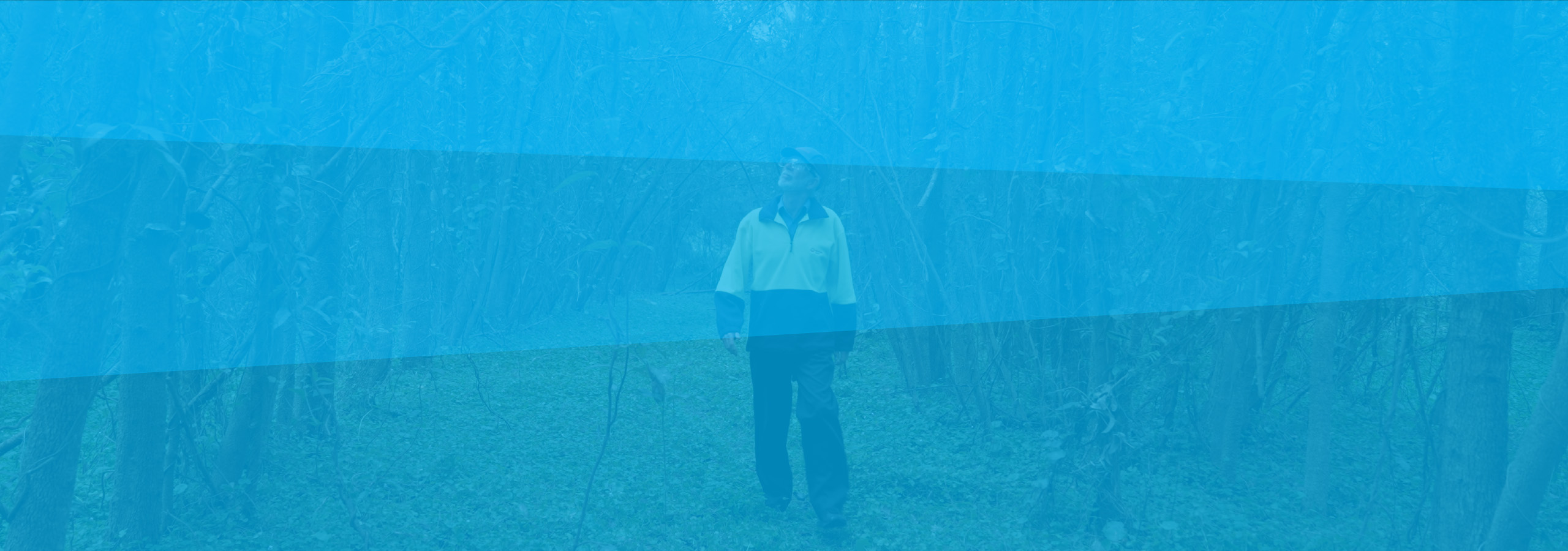 banner image of SDP employee in bush sanctuary
