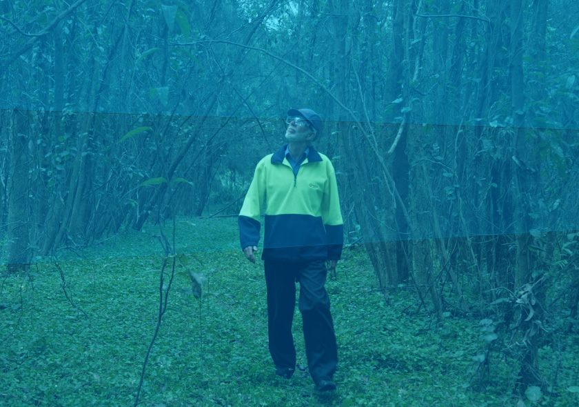 employee in SDP koala sanctuary